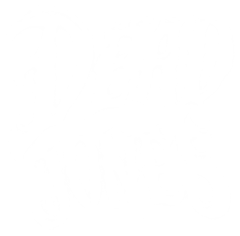 Dead Jones โ Country and Indie Rock Band in Columbia, MO